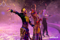 Цирковое шоу Жар птица, Фото: 147