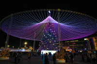 Глава администрации Тулы Илья Беспалов: «Загадывайте желания под нашей новой красавицей-ёлкой», Фото: 10