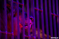 Шоу фонтанов «13 месяцев»: успей увидеть уникальную программу в Тульском цирке, Фото: 210