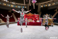 Грандиозное цирковое шоу «Песчаная сказка» впервые в Туле!, Фото: 12