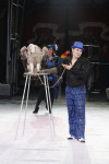 Губернаторская ёлка в цирке. 25 декабря, Фото: 36