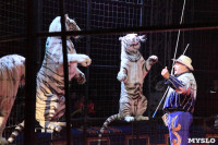 Цирк "Максимус" и тигрица в гостях у Myslo, Фото: 32