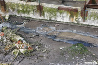 С заброшенных очистных канализация много лет сливается под заборы домов, Фото: 12
