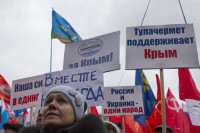 В Туле проходит митинг в поддержку Крыма, Фото: 15