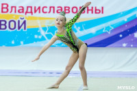 Тула провела крупный турнир по художественной гимнастике, Фото: 42