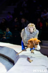 Премьера новогоднего шоу в Тульском цирке, Фото: 21
