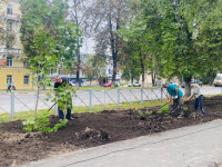 Как в Туле идет благоустройство Кировского сквера, Фото: 6