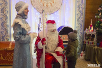 В Туле открылась резиденция Деда Мороза, Фото: 81