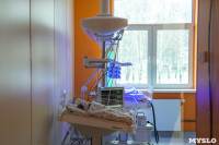 Как устроено отделение отделение катамнеса для недоношенных детей в Тульском перинатальном центре, Фото: 6