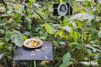 Всехсвятское кладбище, Фото: 138