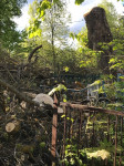 В Черни во время уборки на кладбище могилы завалили спиленными деревьями, Фото: 2