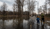 В Туле затопило Баташевский сад, Фото: 17