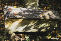 Всехсвятское кладбище, Фото: 126