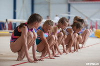 Тульские гимнастки готовятся к первенству России, Фото: 23