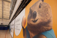 Кимовск-Донской-Новомосковск-Узловая, Фото: 63