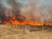 В Федоровке огонь с горящего поля едва не перекинулся на дома, Фото: 18