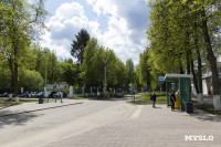 Проекты благоустройства парков Щекино, Киреевска, Ясногорска и Новомосковска, Фото 13
