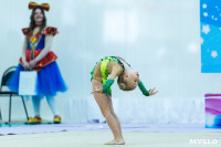Тула провела крупный турнир по художественной гимнастике, Фото: 62
