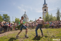В Тульской области прошел фестиваль крапивы, Фото: 219