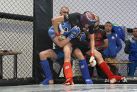 В Новомосковске прошел Чемпионат и Первенство Тульской области по ММА, Фото: 199