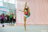 Соревнования по художественной гимнастике "Тульский сувенир", Фото: 45