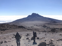 Килиманджаро, Фото: 17