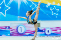 Тула провела крупный турнир по художественной гимнастике, Фото: 72