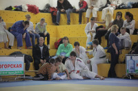 В Туле прошел юношеский турнир по дзюдо, Фото: 9