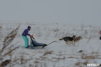 Гонки на собачьих упряжках «Большой тур» на Куликовом поле, Фото: 86