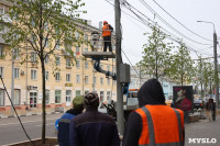 Над деревьями на проспекте Ленина начали поднимать провода, Фото: 8