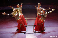 Грандиозное цирковое шоу «Песчаная сказка» впервые в Туле!, Фото: 60