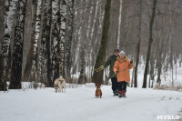 В Комсомольском парке прошёл рейд по выявлению собачников-нарушителей, Фото: 9