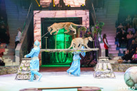 Искусство иллюзии и вера в чудо: в Тульском цирке стартовала программа «Загадка старой игрушки», Фото: 65