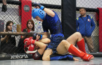 В Новомосковске прошел Чемпионат и Первенство Тульской области по ММА, Фото: 208