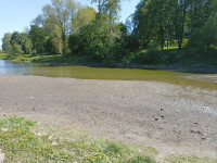 В Туле неожиданно обмелел пруд в Рогожинском парке, Фото: 6