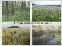 Таёжные леса и карстовые болота: какие уникальные экосистемы есть в Тульской области, Фото: 25