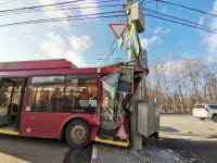 Жесткое ДТП с троллейбусом на ул. Октябрьской, Фото: 8