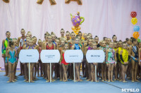Соревнования по художественной гимнастике "Тульский сувенир", Фото: 3