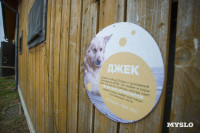 Эко-курорт «Ясно Поле», Фото: 37