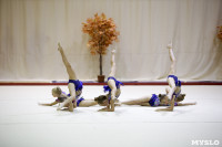 Соревнования по художественной гимнастике "Осенний вальс", Фото: 140
