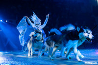 Шоу фонтанов «13 месяцев»: успей увидеть уникальную программу в Тульском цирке, Фото: 146