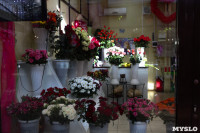 Ассортимент тульских цветочных магазинов. 28.02.2015, Фото: 1
