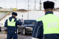 «Цветочный патруль — 2026», Фото: 84