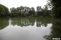 Загрязнение прудв в Платоновском парке, Фото: 8