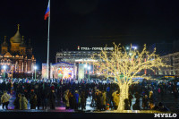 В Туле завершились новогодние гуляния, Фото: 49