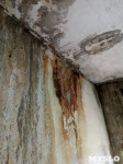 Горы мусора, грибок и аварийные балконы: под Ясногорском рушится многоквартирый дом, Фото: 45