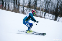 I-й этап Кубка Тулы по горным лыжам и сноуборду., Фото: 37