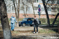 Посадка деревьев во дворе на ул. Максимовского, 23, Фото: 29
