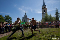 В Тульской области прошел фестиваль крапивы, Фото: 212