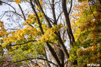 Золотая осень по-тульски, Фото: 87